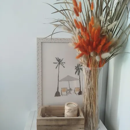 Studio Estivale Vue Cote Port Ιέρ