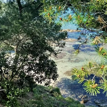 Au Port De * Hyères